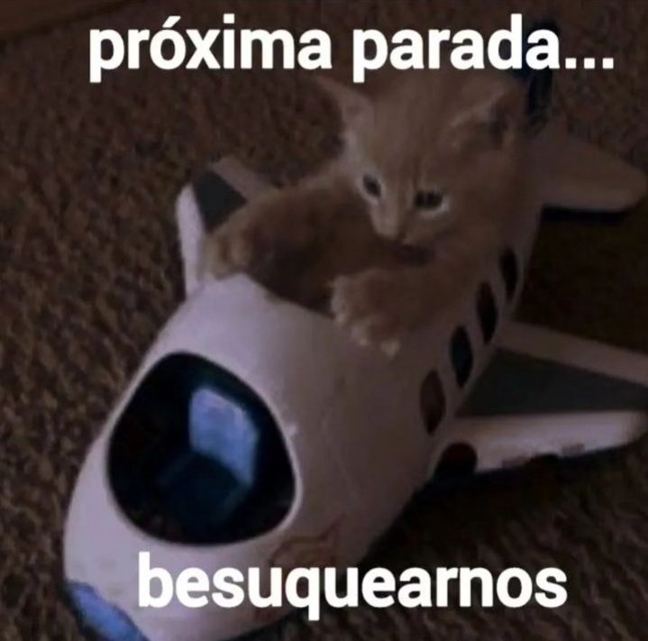 ℝ𝕖𝕕𝕒𝕞ā𝕣𝕖🔮🫴✨ tweet media