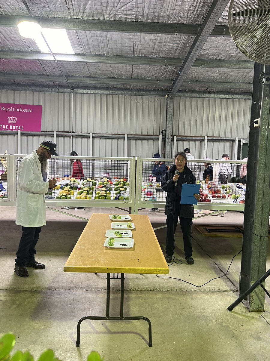 congrats to our fruit and vege judges - a great morning in the hort shed - all places to AgSTEM kids @NSWEducation @dizdarm @mccallumtp