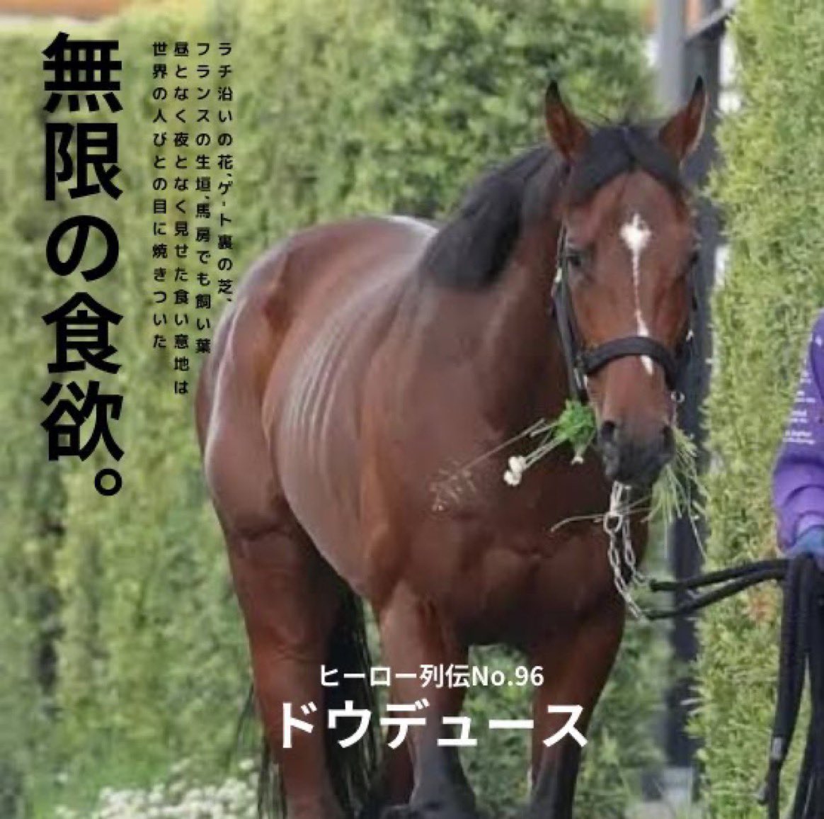 JRA FUN CLUB on X: 