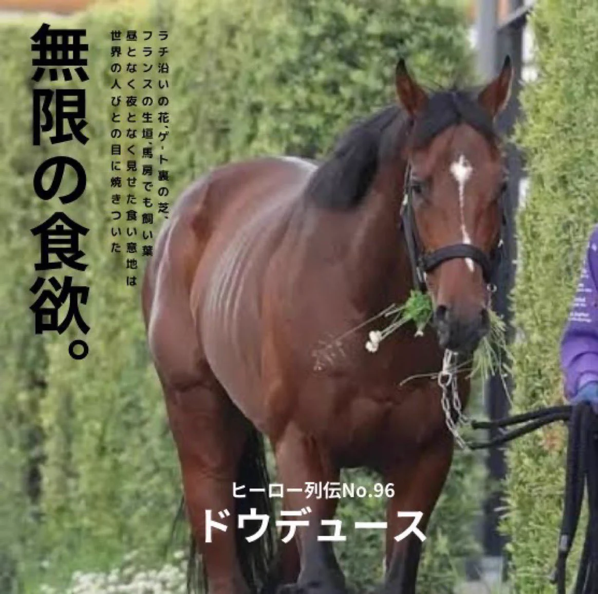 JRA FUN CLUB on X: 