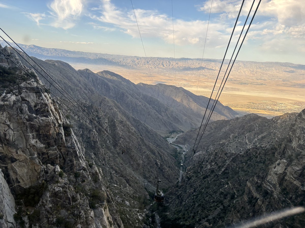 took the tram to palm springs 🌵 to the idyllwild mountains 🏔️