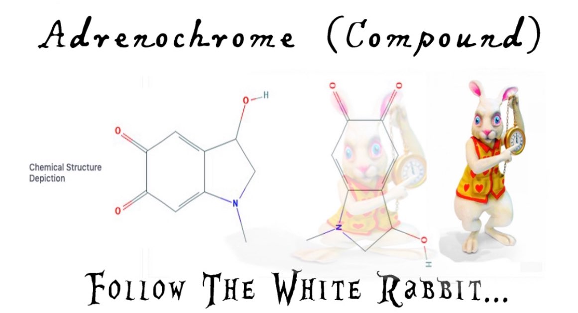 Adrenochrome Follow The White Rabbit 🐇