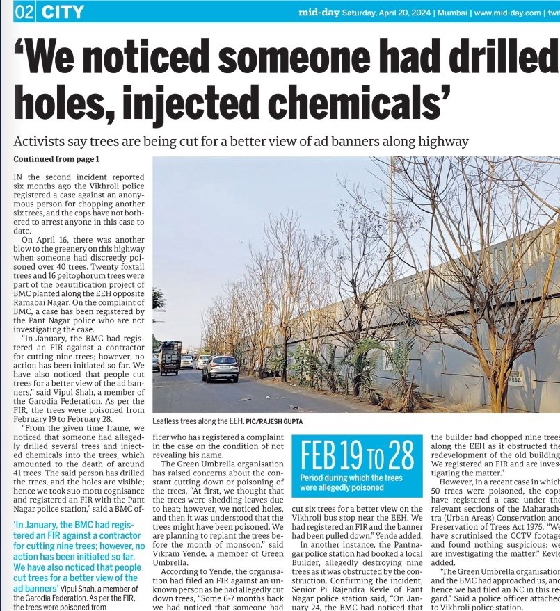#Mumbai

 55 full grown trees along EEH killed ‘by advertisers, builders’

Trees drilled and injected with Chemicals.

mid-day.com/mumbai/mumbai-…