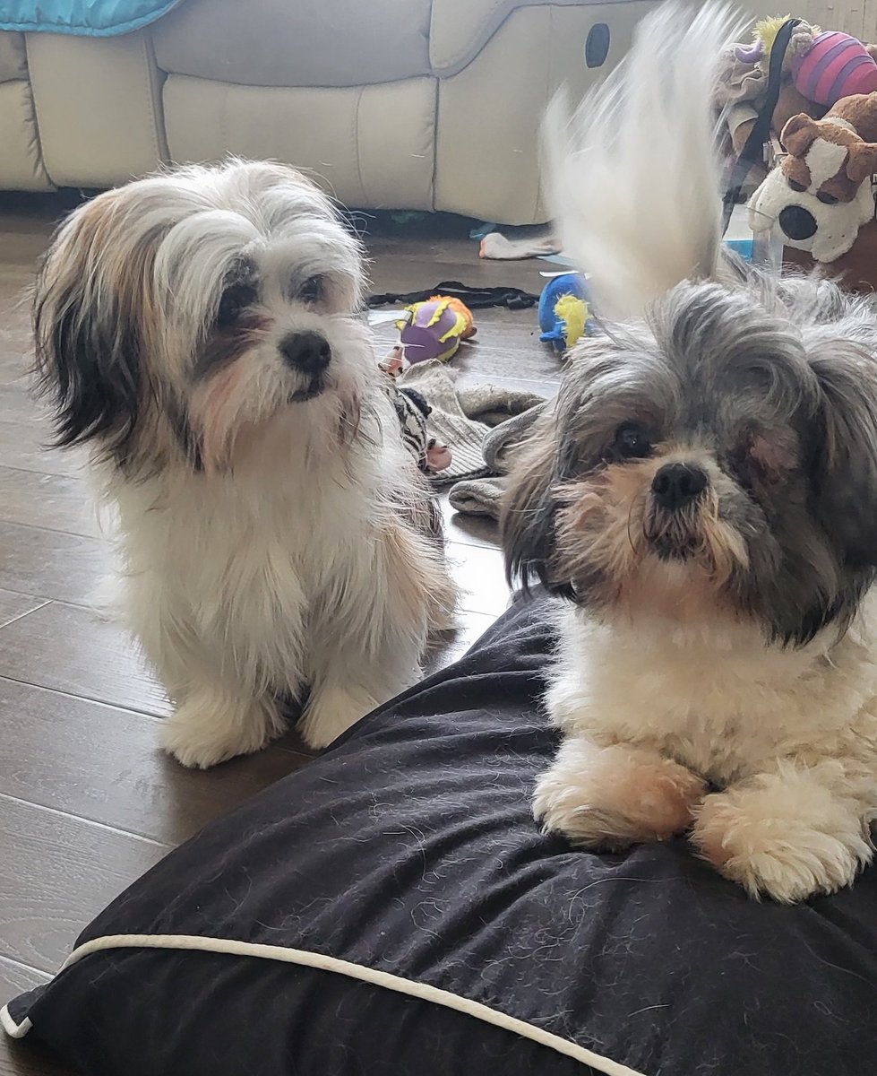 #InMyInterviewWithAVampire my sister caused a scene