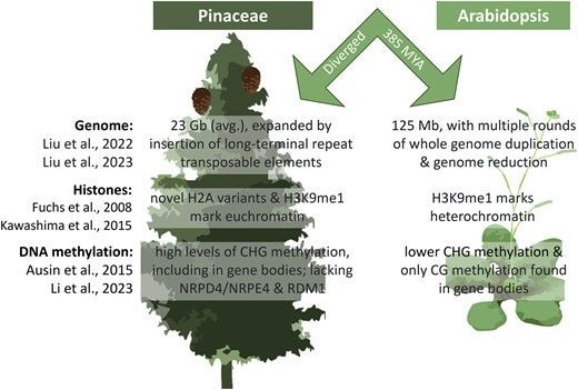 sci_plant tweet picture