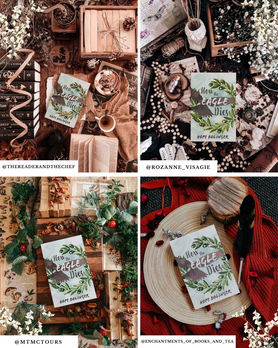 MTMC Tours ✨📚 tweet media