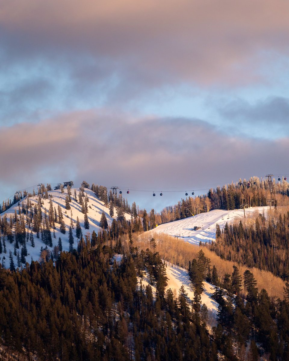 Aspen Snowmass tweet media