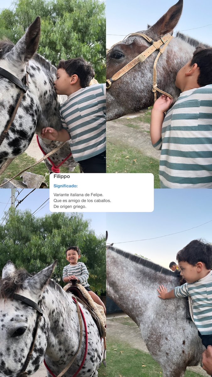 rominabueno02's tweet photo. Hoy fue tarde de caballos 🐴 ❤️‍🩹 https://t.co/aWp5eAu4ON