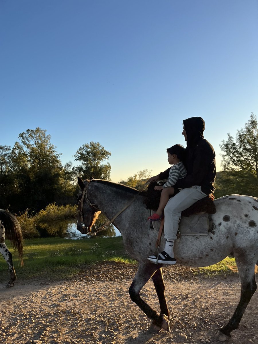 rominabueno02's tweet photo. Hoy fue tarde de caballos 🐴 ❤️‍🩹 https://t.co/aWp5eAu4ON