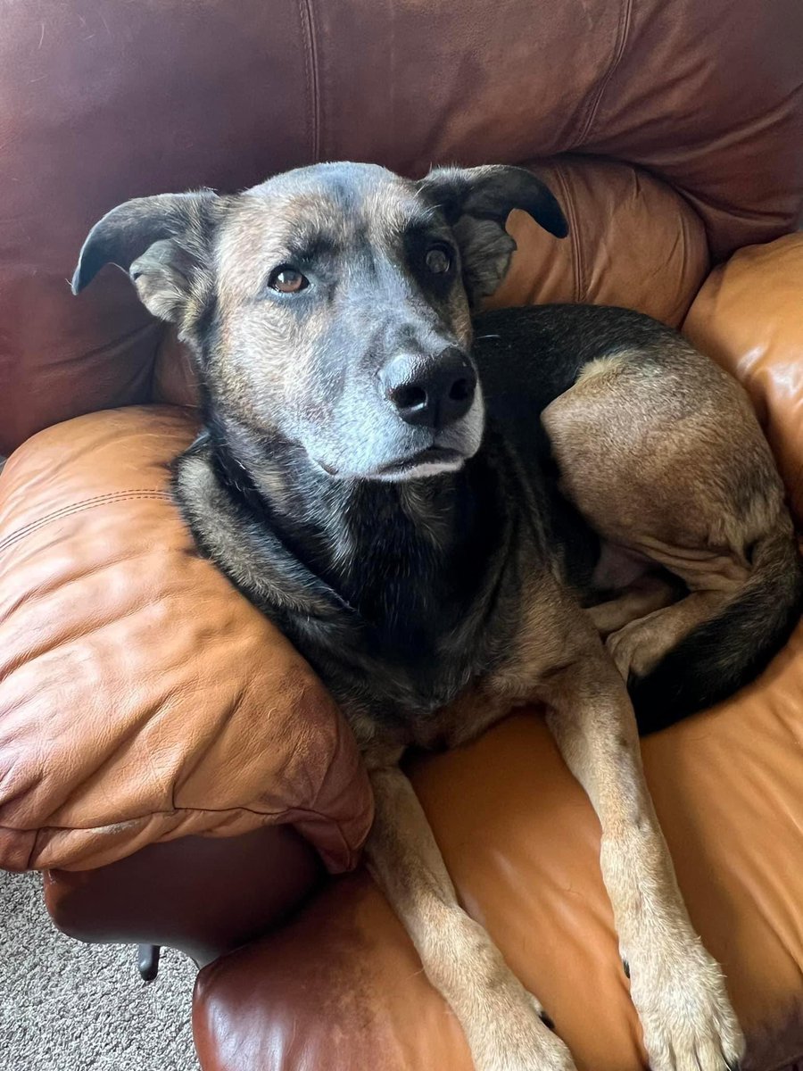 Jordan Backes tweet media