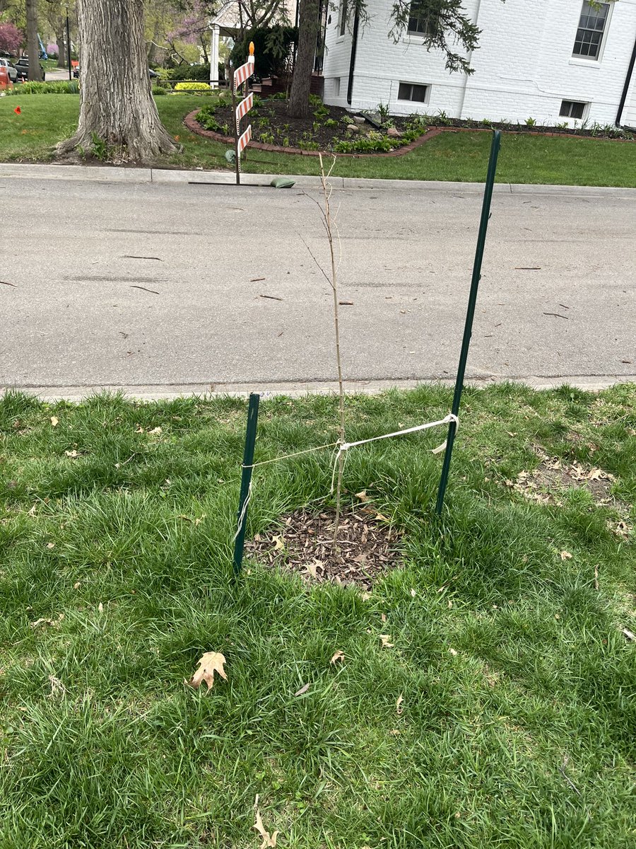 Matt Bergmeyer tweet media