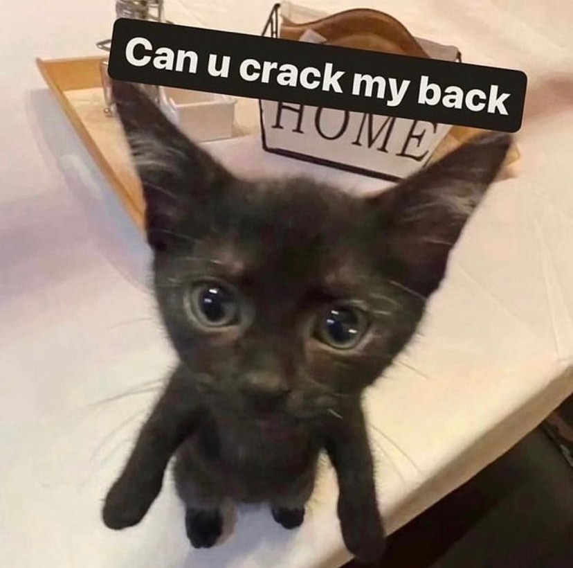 PunchingCat's tweet photo. https://t.co/V1ViibmMM8