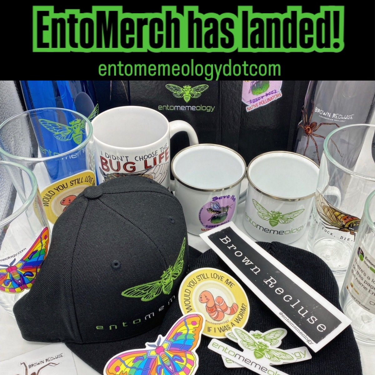 EntoSwag has arrived. 🪲 #entomemeology #entomology #entomologygear #entomologists