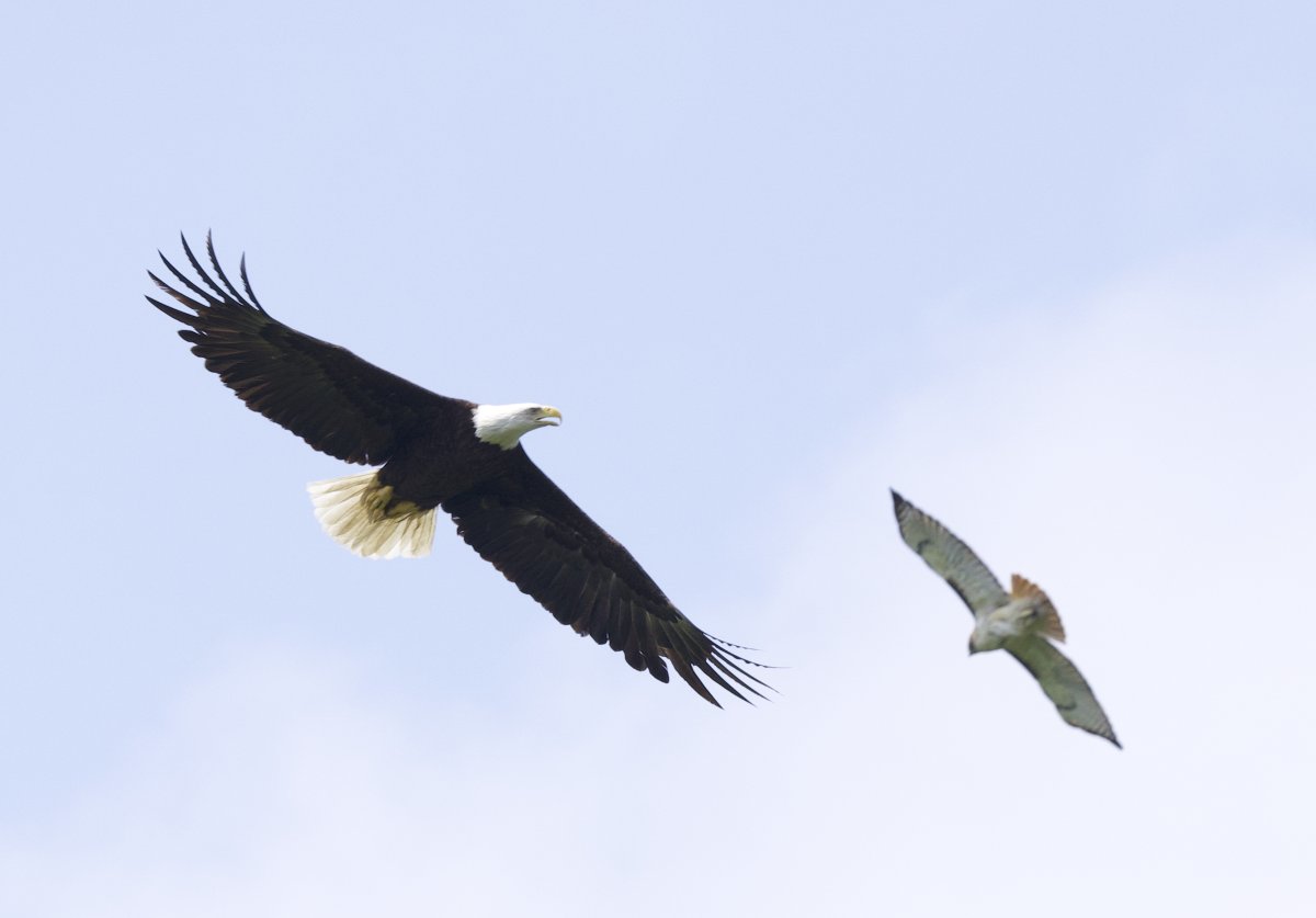 Jason Stefanides tweet media