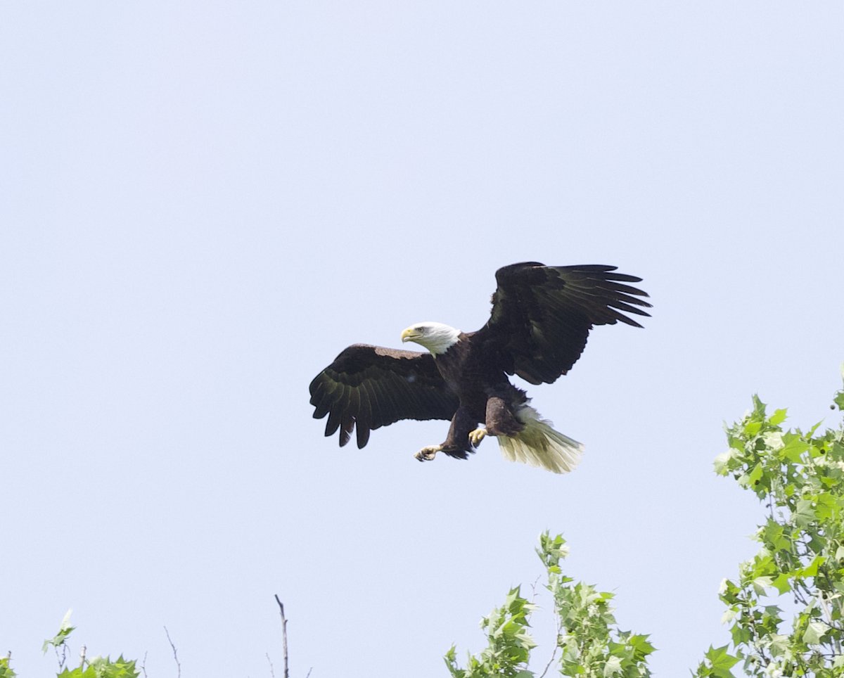 Jason Stefanides tweet media