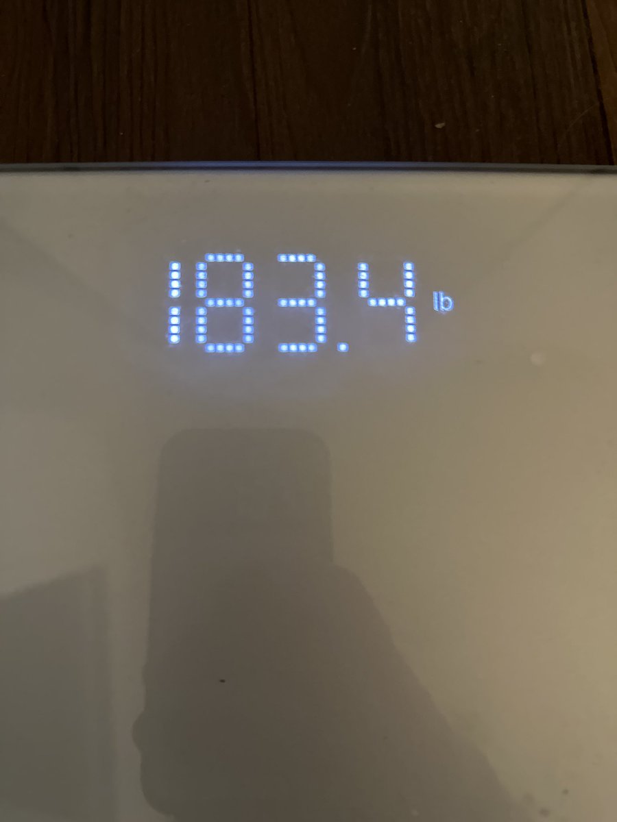 Day 232-238: 34 weeks in! Weight update: 183.4 LBS. Down from 300 LBS peak weight. 117 LBS down since August 25th, 2023. Confession: I had a cheat meal last weekend. I ate a hot dog on Sunday (with the bun). It rocked. Might do that again at some point. YOLO. Love you guys 🫶