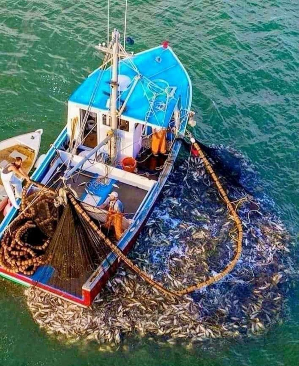 🦋عہصہآمہ🦋 tweet media