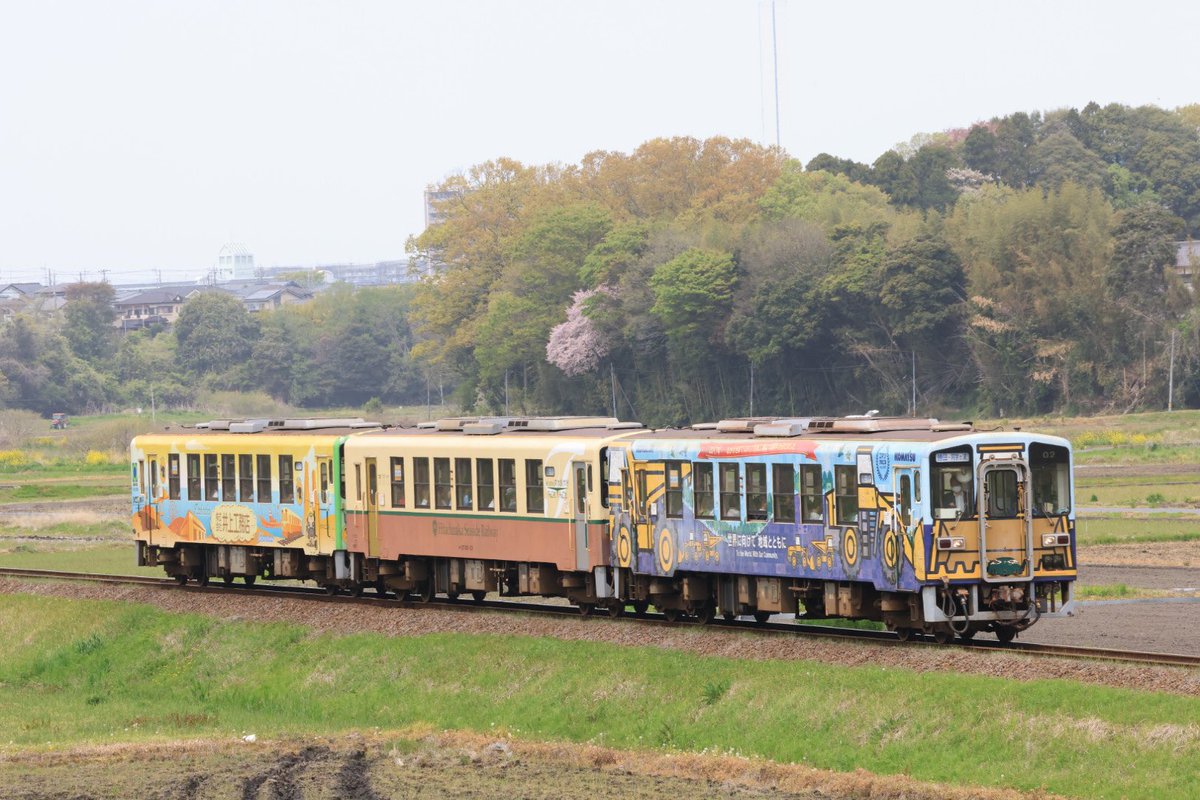 【今日の湊線は三連二編成運行中です】

#湊線 #海浜鉄道 #中根坂 #三連運行 #キハ11-6+11-5+キハ11-7 #海浜鉄道色　#イソザキ自動車 #クリーニング専科 #キハ3710-01+37100-03+3710-02 #井上工務店　#銅色列車　#高木製作所　#KOMATSUケンケンキッキ号