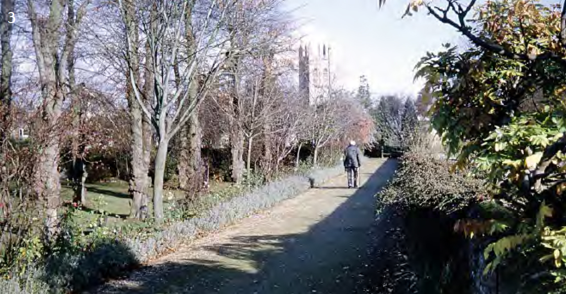 It 'really a very suggestive picture. 'The avenue of limes in 1973, with J. R. R. #Tolkien on the terrace.'
Copyright: Postmaster & The Merton Record 2020, p. 99. @MertonCollege