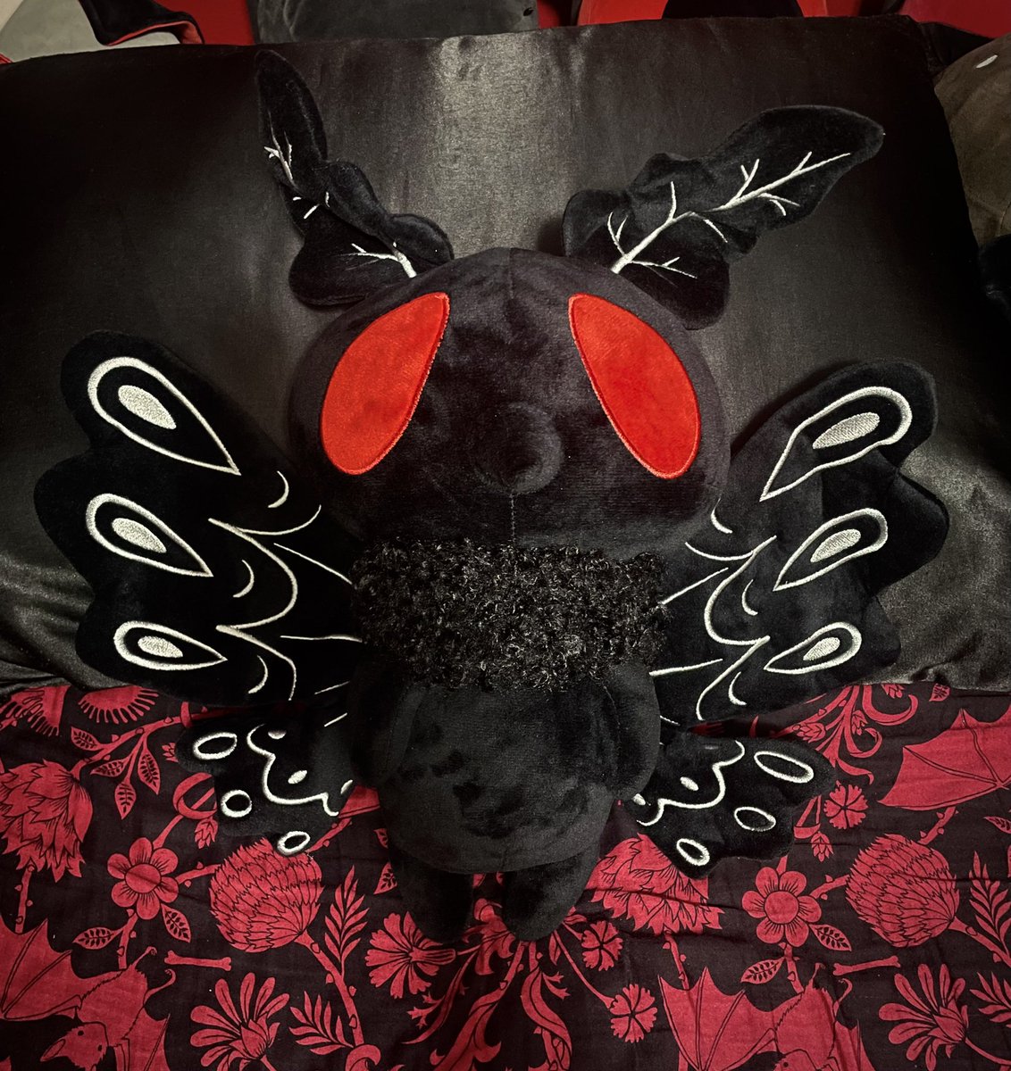 SqueeshMallows's tweet photo. Say hello to the newest buddy! https://t.co/NT85cPvmx6