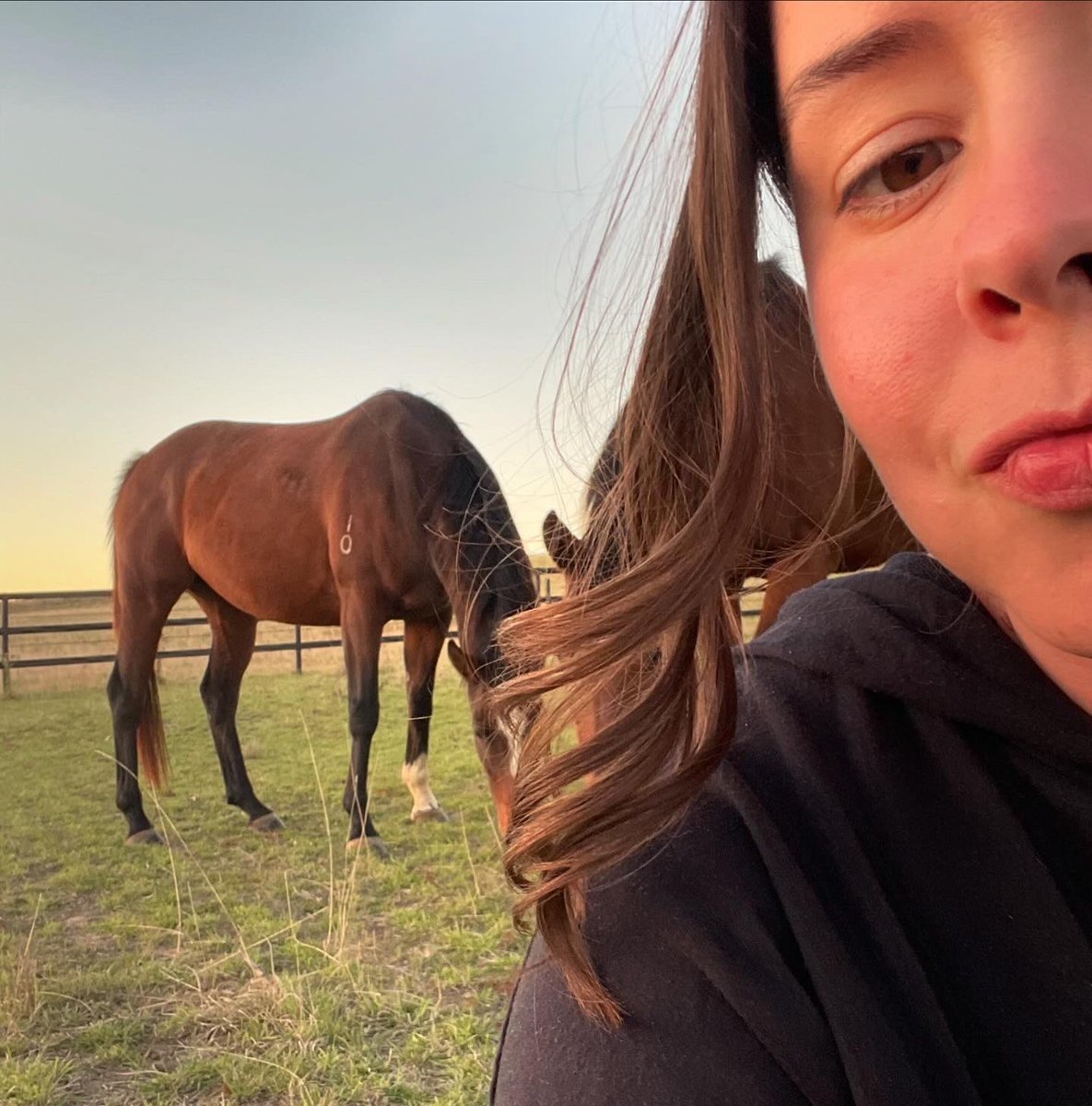 Lauren B tweet media