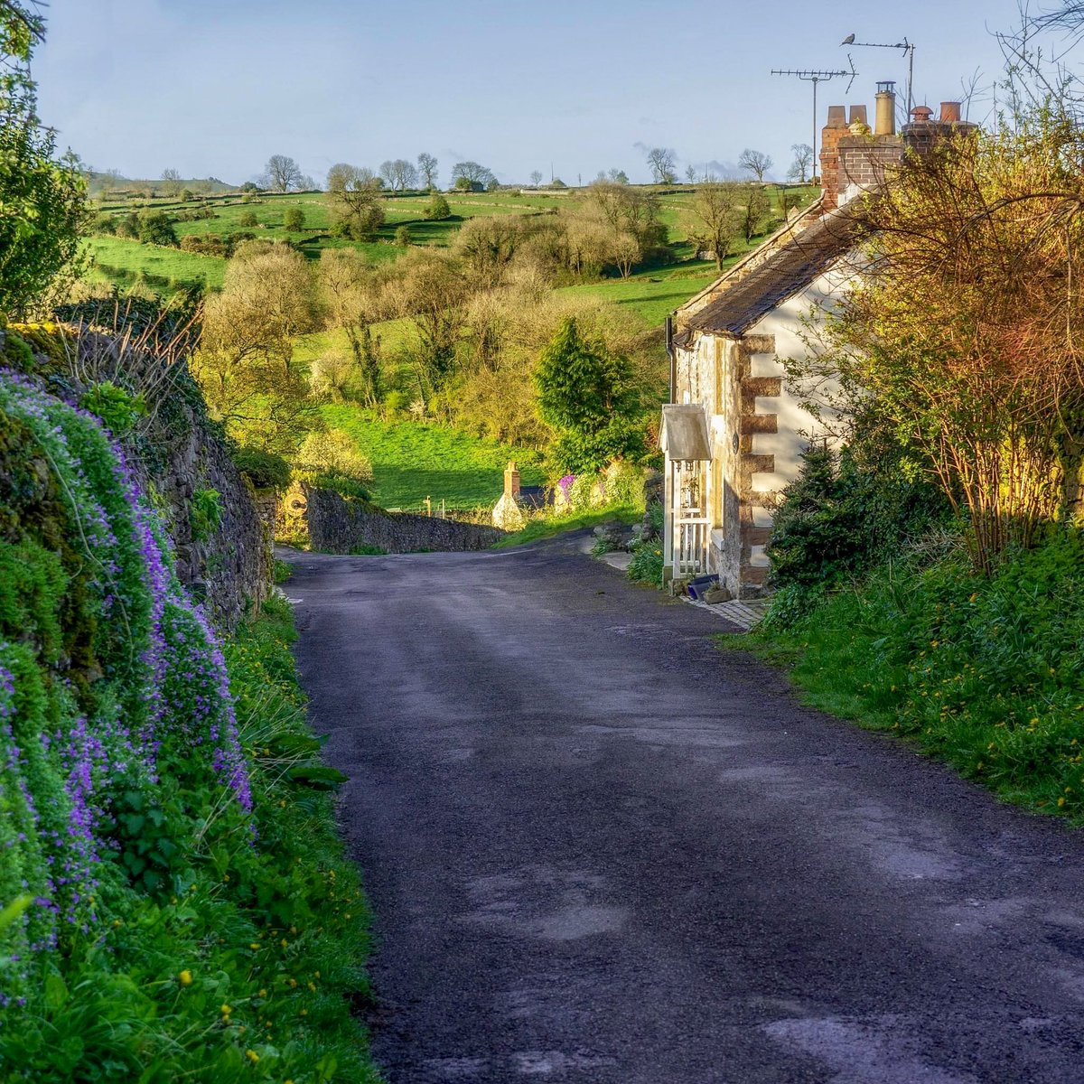 I love this time of year, this cusp of Spring, for all the promise that lies ahead. There's a sense of anticipation, of life just beginning, from the leaves unfurling to the flowers in tight bud waiting for the light. It’s such a privilege to watch it coming back, field by field.