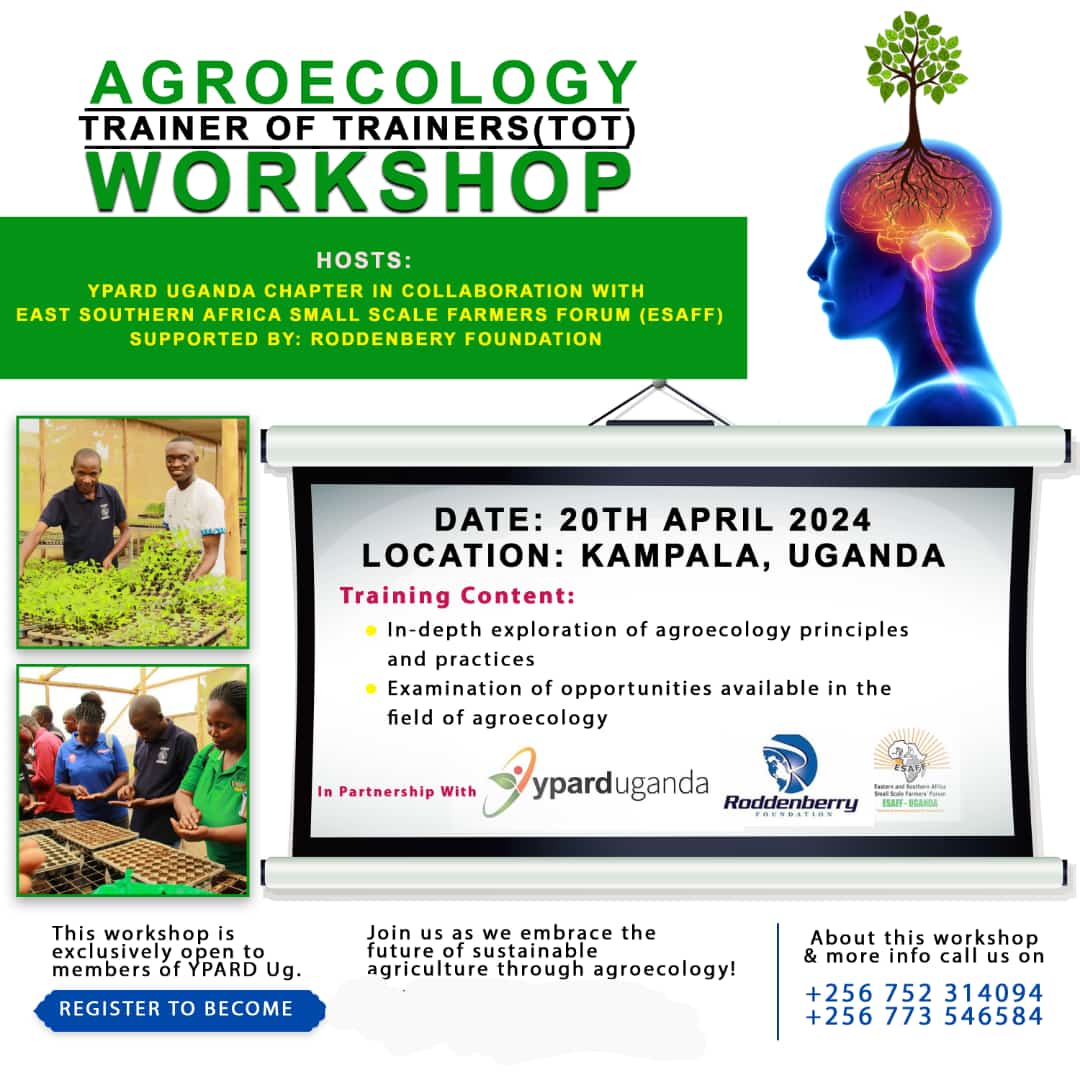 Join us Virtually for the Agroecology TOT Workshop youtube.com/live/YA_SAZ6ch…