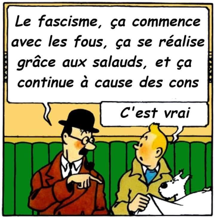 #tintin #herge #tintinfans #tintinetmilou #tintincomics #tintinworld #comics #milou #art #antifasciste #antiraciste