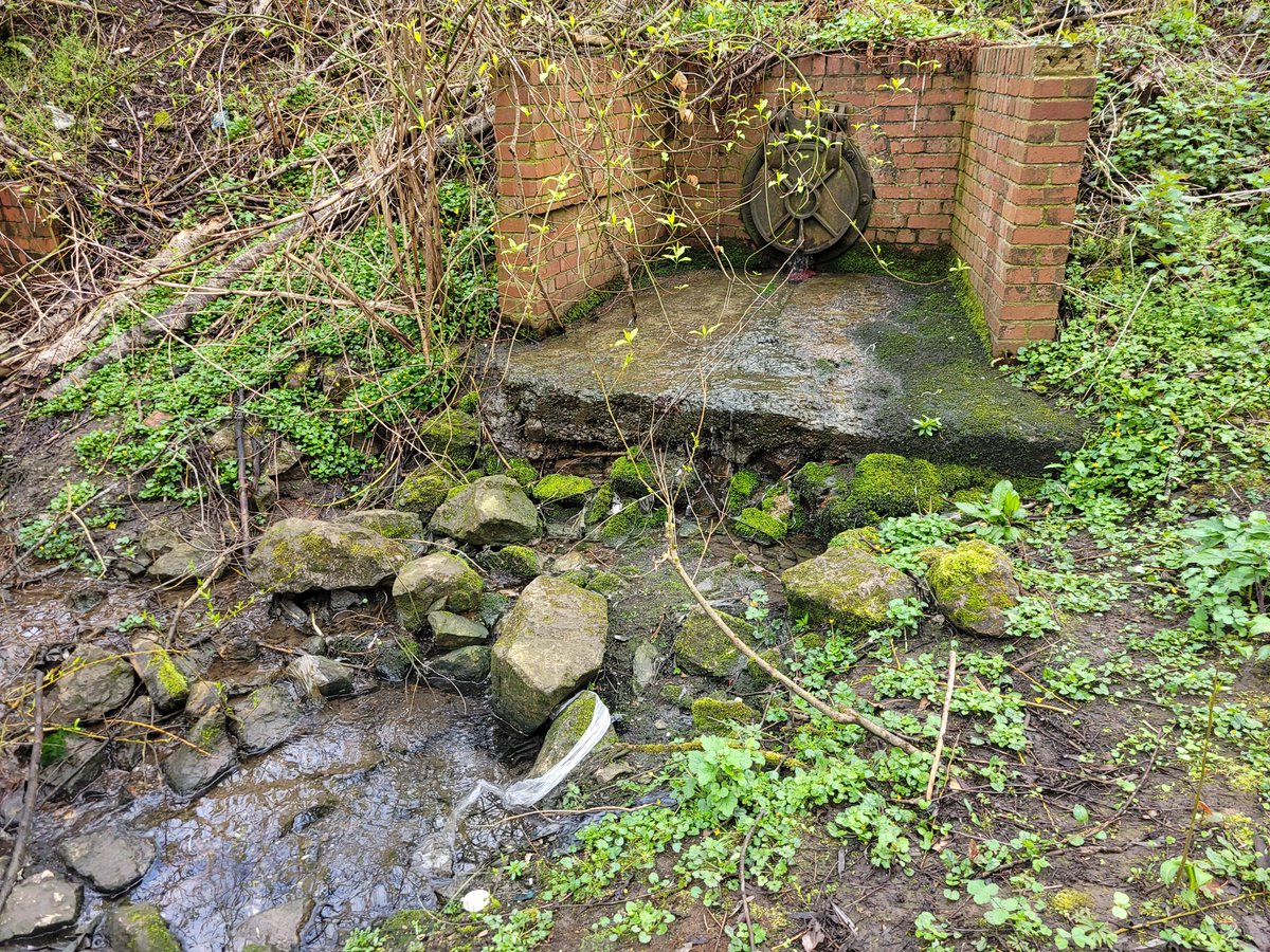 This is the outfall of a drain into the river Gwenfro. A beautiful river that goes through the middle of Wrexham. 

Unfortunately, it's also a pathway of pollution into the river. 

Here is a 🧵about a drain!