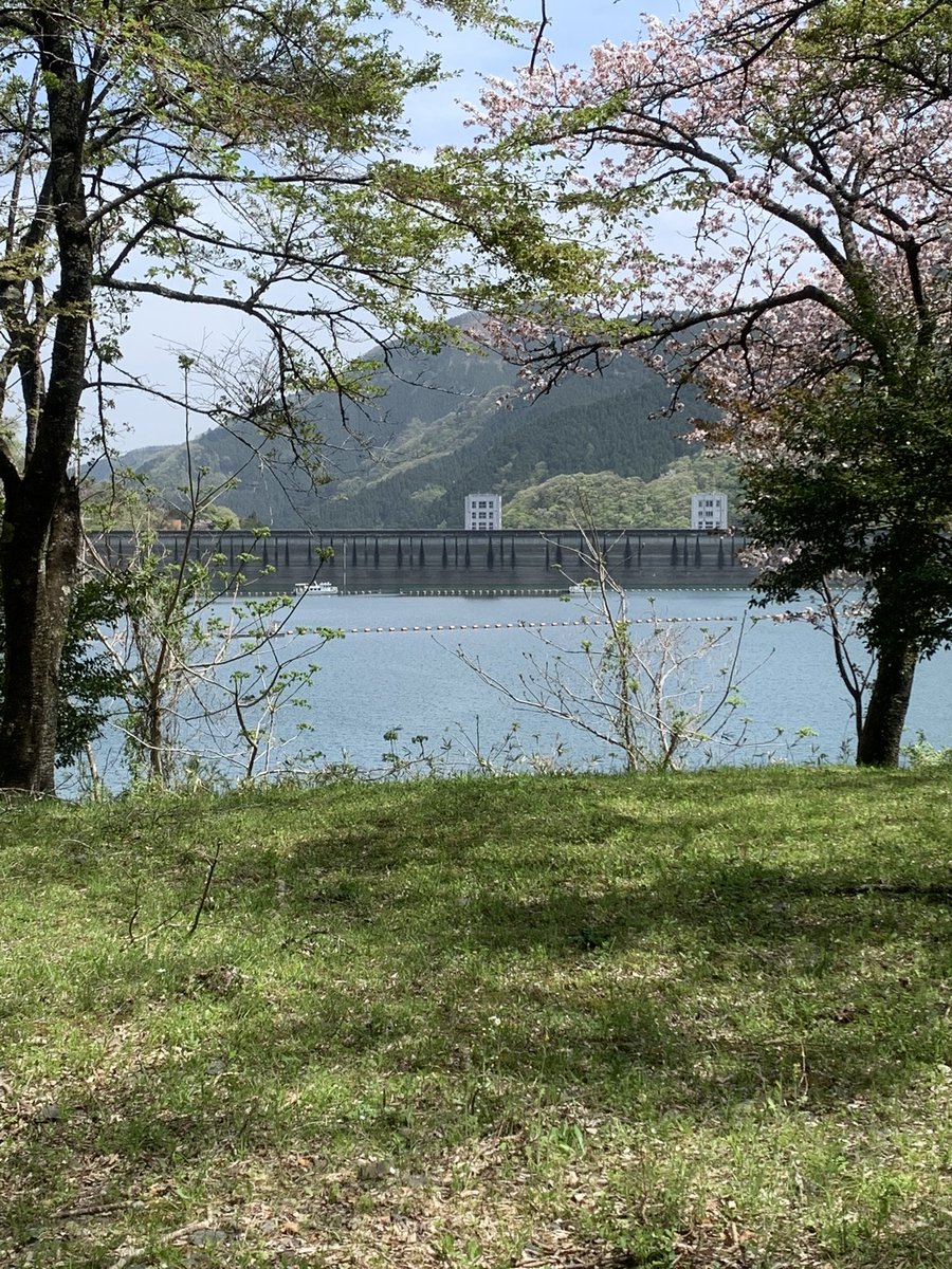 bobo_gonzo's tweet photo. #ハーレー
#奥多摩湖
#ソロツーリング

天気良し！バイク良し！気持ちよかった😎 https://t.co/1PG0s7sA79
