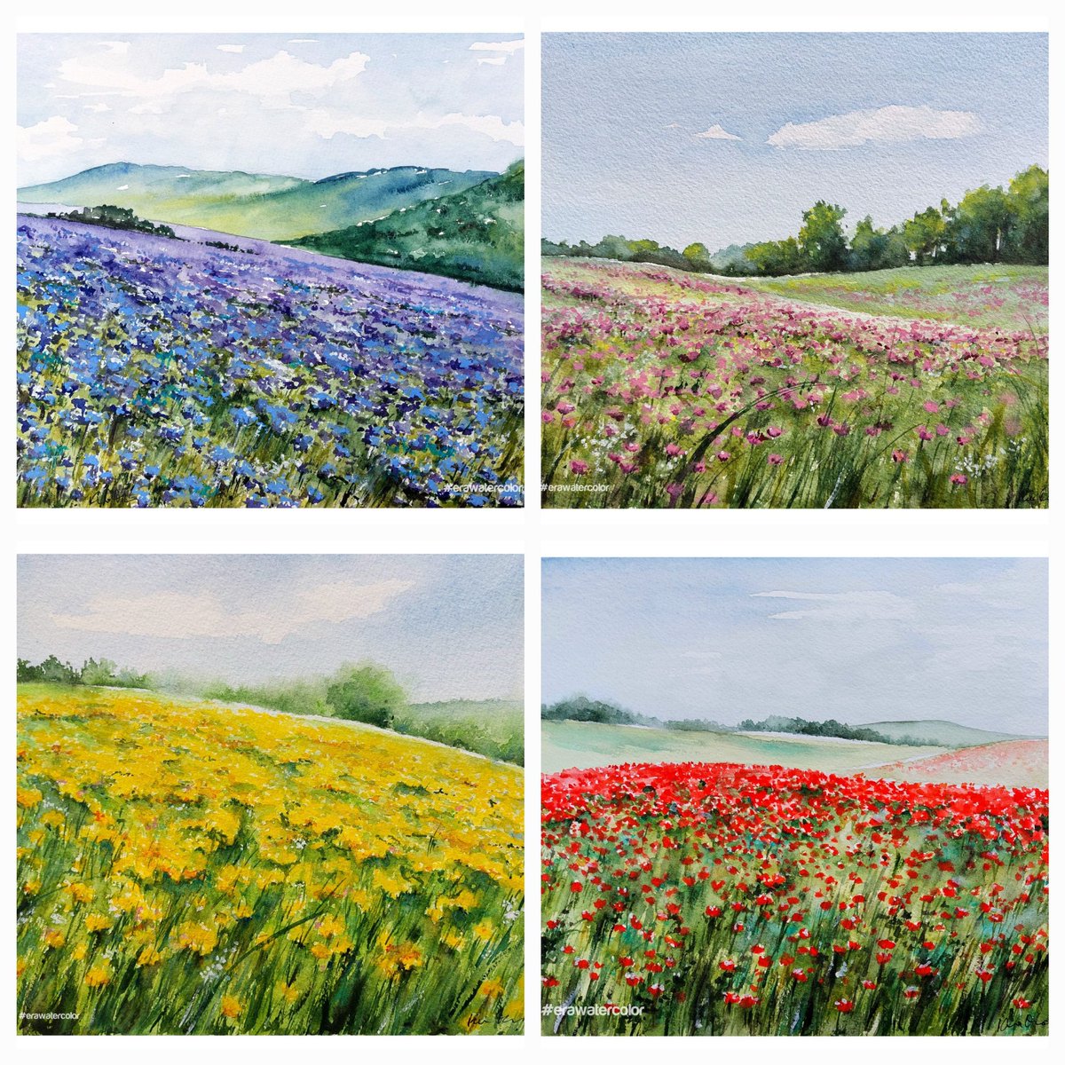 A harmony of colors that soothes the soul.
My #watercolor works.
#arte #art #landscape #blooming  #NatureLovers #painting