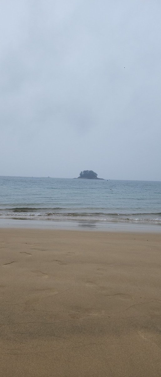 비오는 주말..비는오고 머하고놀지