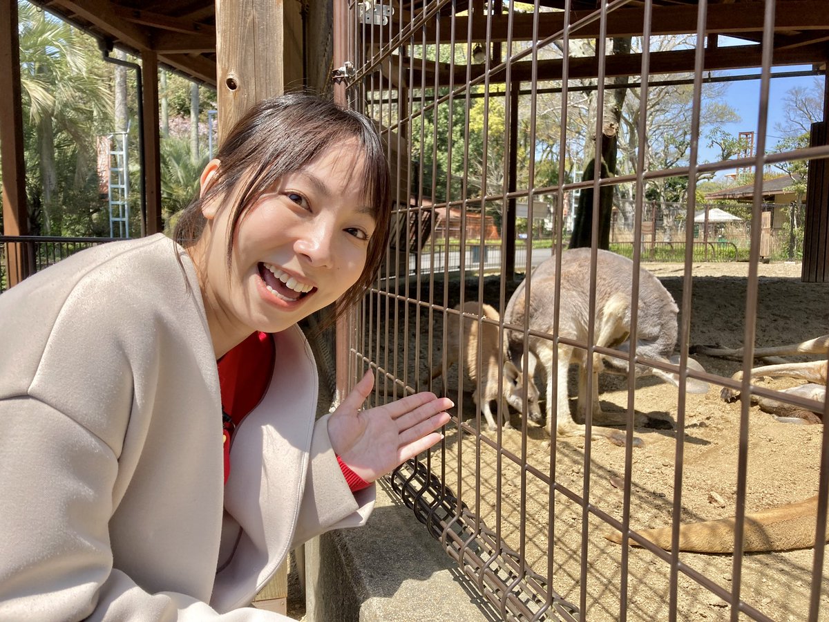 #とべ動物園 #ピース と初対面🐻‍❄️ お昼寝中でございました！ 🦘の赤ちゃんにも会えました❤️ #ビーンズモーニング