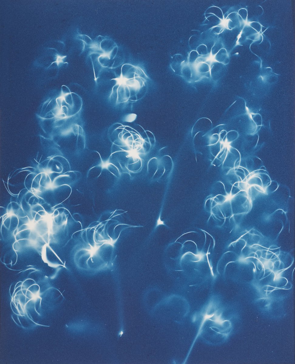 Wild flowers are springing up. Peter Greenhalf's cyanotype was created in a flower meadow it shows the old year's seedheads of wild clematis... starry sky.