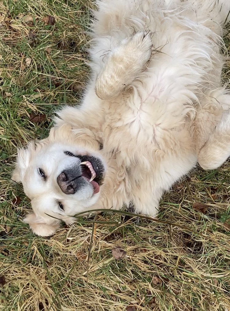 🎂🎂 😋14 today 🎂🎂 14 years of love and kindness 🥰