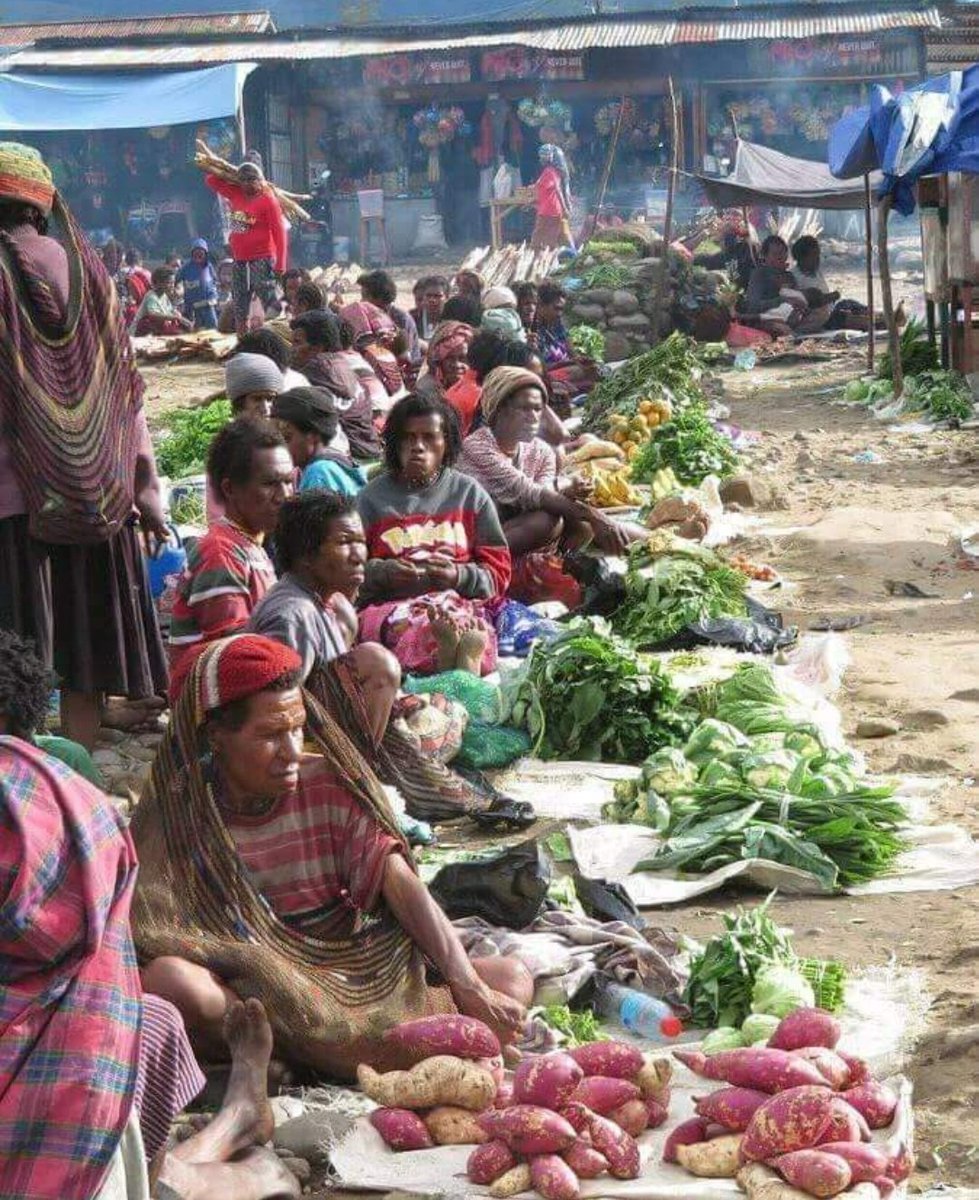 Orang Dani itu sudah bertahan hidup dengan sistem pertanian yg turun temurun. Ketimun, ubi jalar, buncis, labu dri papua pegunungan itu terkenal paling enak Kemudian dri negara api datang eksperimen buka lahan sawah di lembah baliem, bujuk pelan2 agar org beralih makan nasi