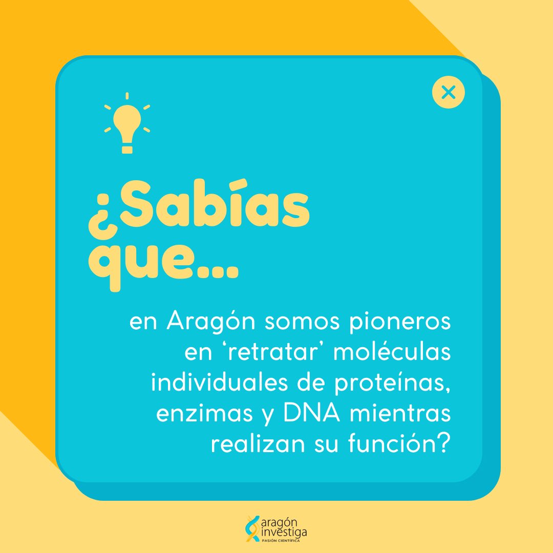 ¡La excelencia científica está Aragón! 🔬@LMA_UNIZAR 

¿Lo sabías? #AragónInvestiga

👇🏻