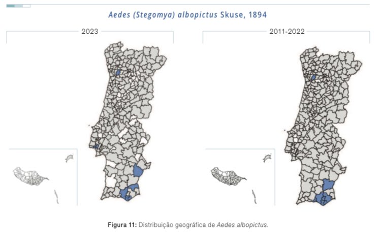 🦟 Slow but continuous spread of #AedesAlbopictus thorugh #Portugal 🇵🇹 👉🏻 2017, Porto Metropolitan Area 👉🏻 2018, Algarve 👉🏻 2022, Antelejo 👉🏻 2023, Lisboa Region 📖 Check the 2023 REVIVE report #AsianTigerMosquito #Arboviruses #Dengue #VectorControl