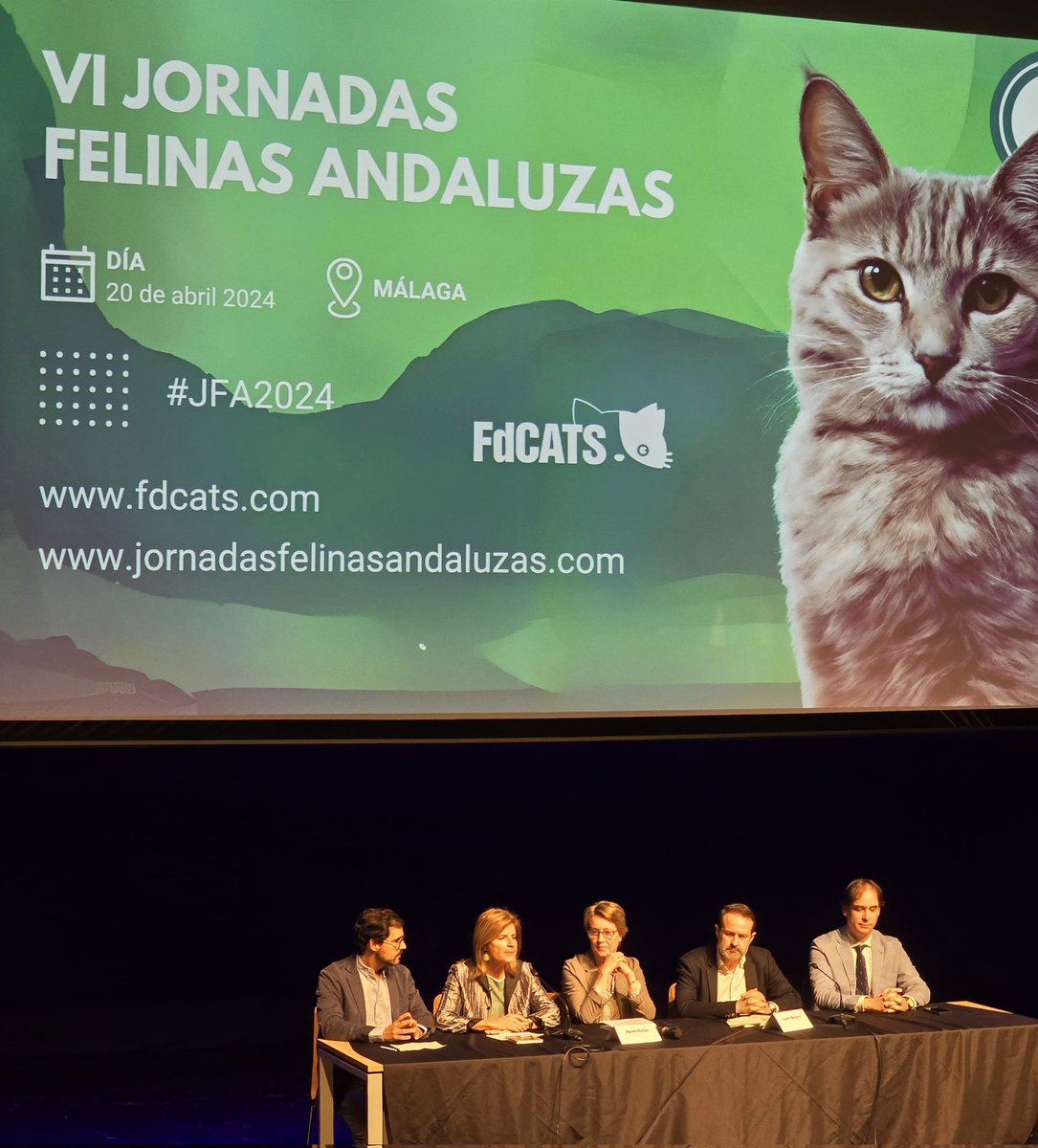 FdCATS tweet media