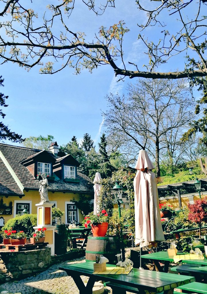 In the vineyards of Vienna, at a typical Viennese 'Heurigen'🥂
Happy and peaceful Saturday everyone 💕🍀
#Vienna #wienliebe #vineyards #NatureLover #LoveandPeace