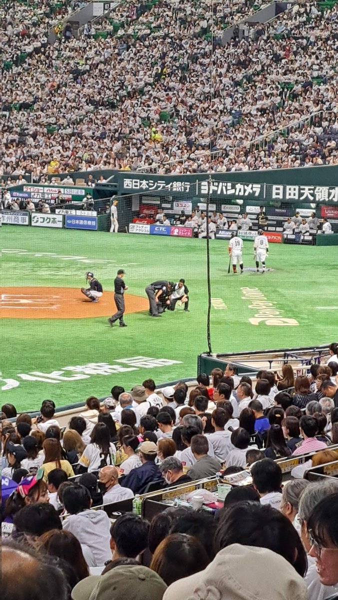 Chibi_Kapink's tweet photo. 白井さん、打球が急所に当たり痛そうです。
でも、直後に「ストラー！！！」
とコールしてたので、大事には至ってないと思われる。 https://t.co/d3ToPOOImx
