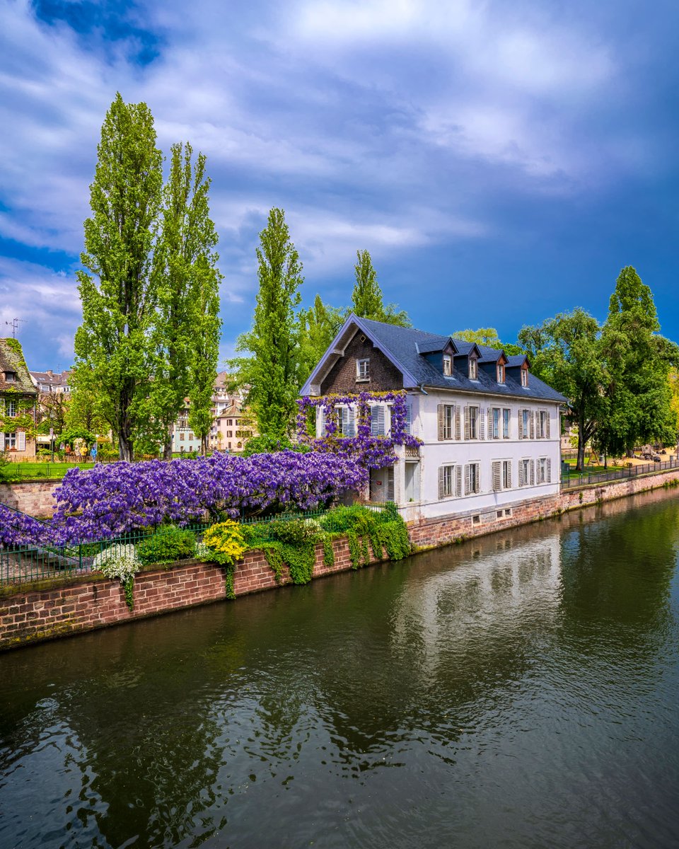 Let yourself be whisked away to the enchanting canals of Petite France, in Strasbourg! 🌬💦 Wander under arched arbores draped in blooming wisteria, leading to charming old houses. 🍇💟 Discover the timeless beauty of Alsace. ✨ 📸 psychoshadow / AS #ExploreFrance