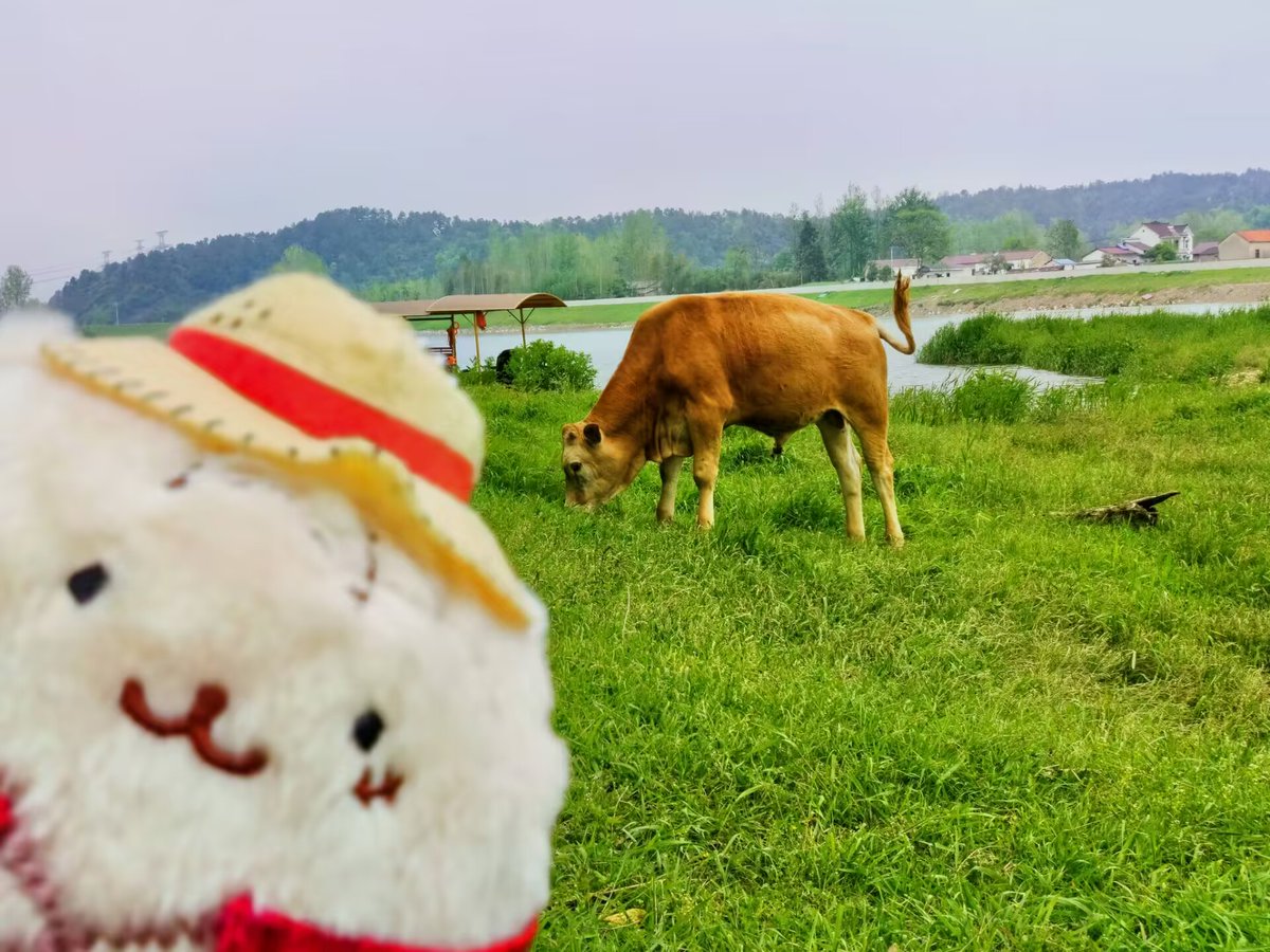MoebiusFish's tweet photo. 😯🥰 https://t.co/0DvpO28YHw
