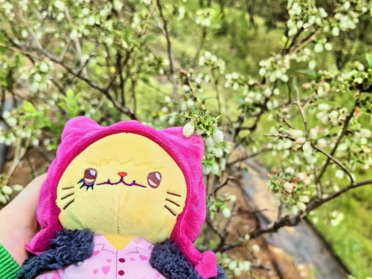 MoebiusFish's tweet photo. 😯🥰 https://t.co/0DvpO28YHw
