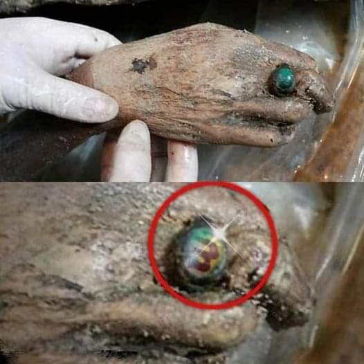 Unveiling the Past: Mystery of the 700-Year-Old Chinese Mummy.