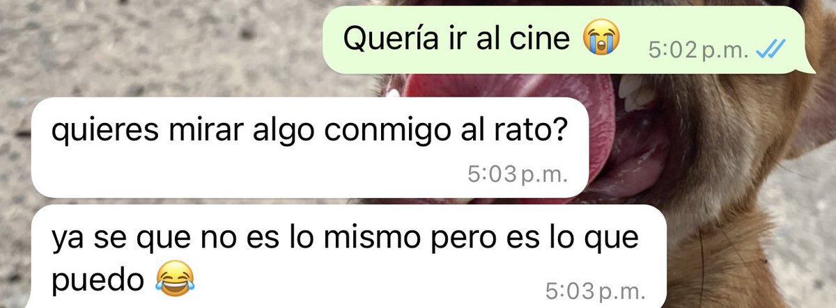 Eygraciela's tweet photo. Le dije a mi novio que me sentí mal por lo que no pude ir al cine y su reacción me llenó mi corazoncito 🥹❤️
(él en phoenix y yo en Hmo) https://t.co/gdtzFdHLSp