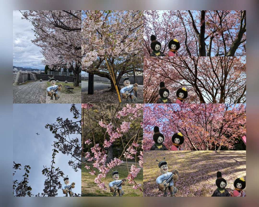 eri_na311's tweet photo. 🤠🎸🌸💌☕🎶　

リールに使用した5枚の写真を
コラージュにしてみました😊
小さいですが、桜の花びらが
散っていくところもっ📷🌸

合わせた楽曲は…
佐藤嘉風(@SatohKafu)さん
🎼 大切な人 ☕💌🌸
🎶 ひとひらの季節が散りゆくたびに〜

https://t.co/ju1nLkXEkw

📷 桜の木の下で 🐜🎸　#桜   #花見 https://t.co/ZTjhaaVsm2