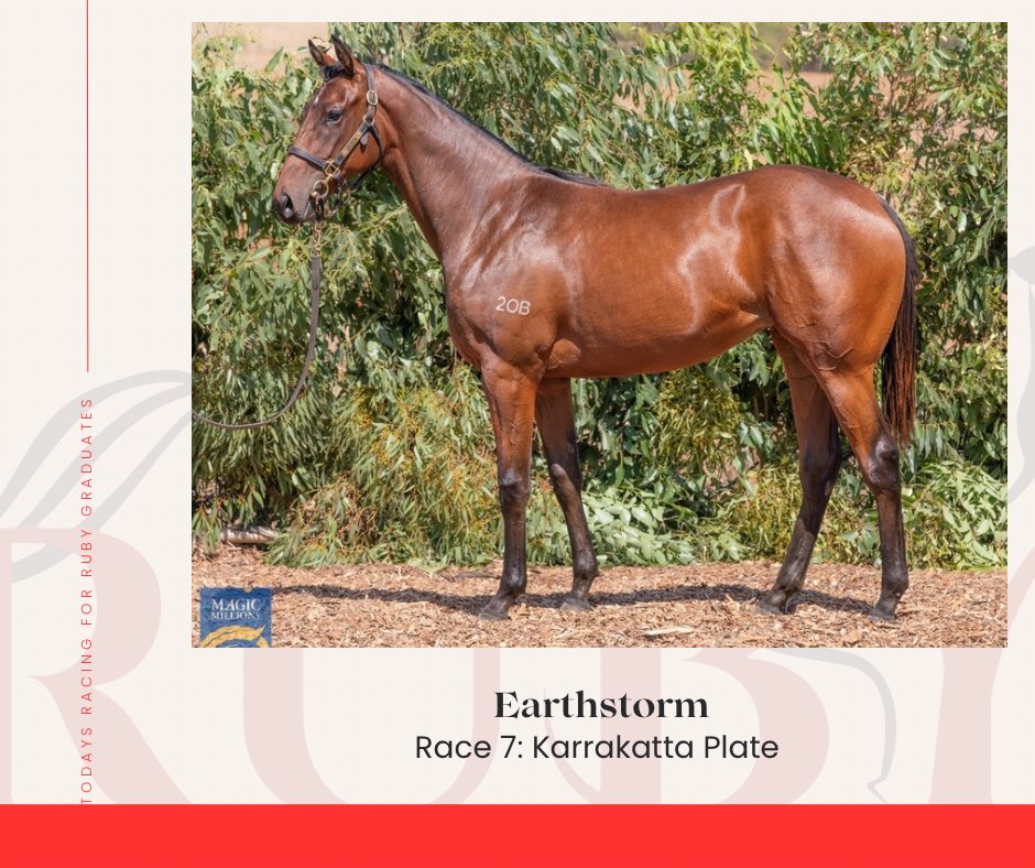 Earthstorm a great chance in the Karrakatta which she has continued a great year for Ruby on the back of already producing the reigning Railway winner. Earthstorm just 1 of 3 foals for the year with the 2OB brand. Excited to have one here in the WA grand final for 2 year olds