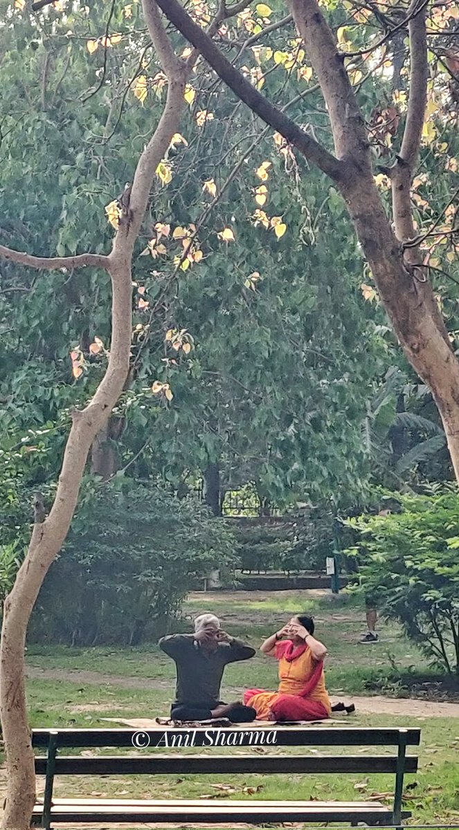 MOBILE CLICK.... Saturday Morning in park