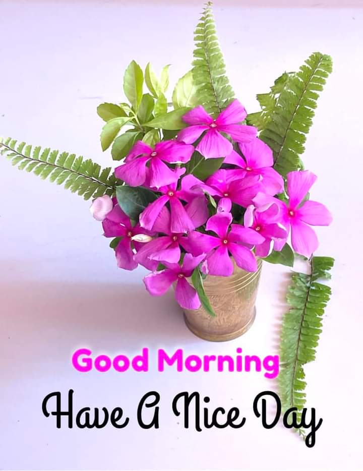 Good morning to my all dear friends .
I wish you all have a wonderful day.